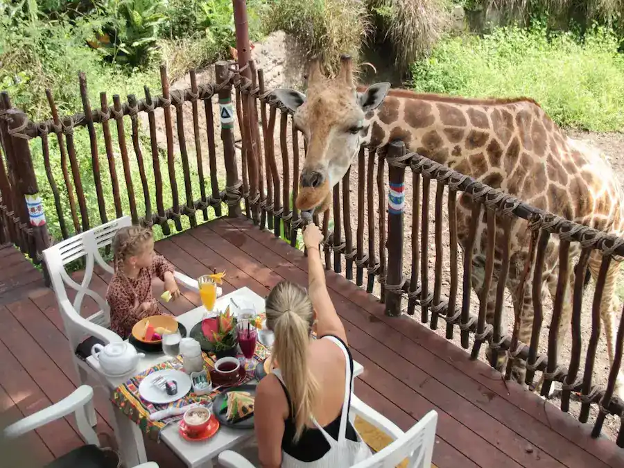 Activities That Every Child Will Adore