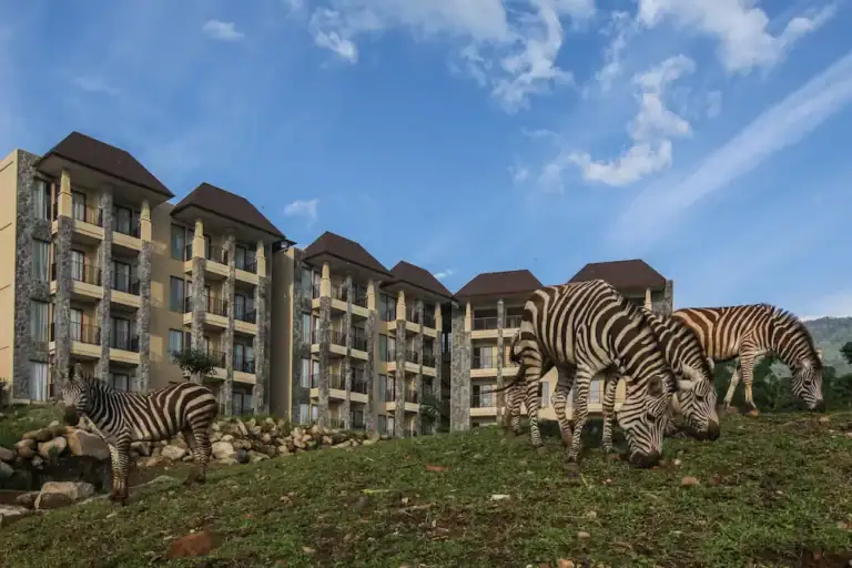 Activities and Highlights at Baobab Safari Resort Prigen - TSI