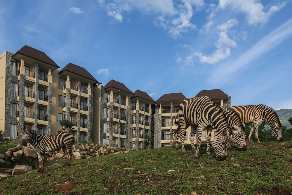 Activities and Highlights at Baobab Safari Resort Prigen - TSI
