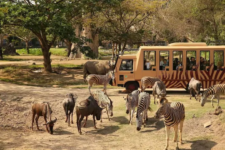 Mastering the Taman Safari Bali Map for Family Vacation