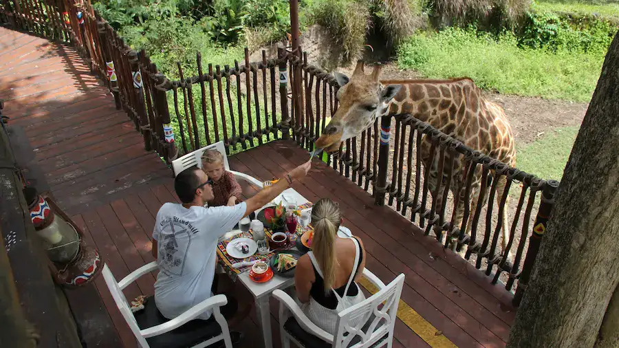Ultimate Family Weekend Getaways in Bali