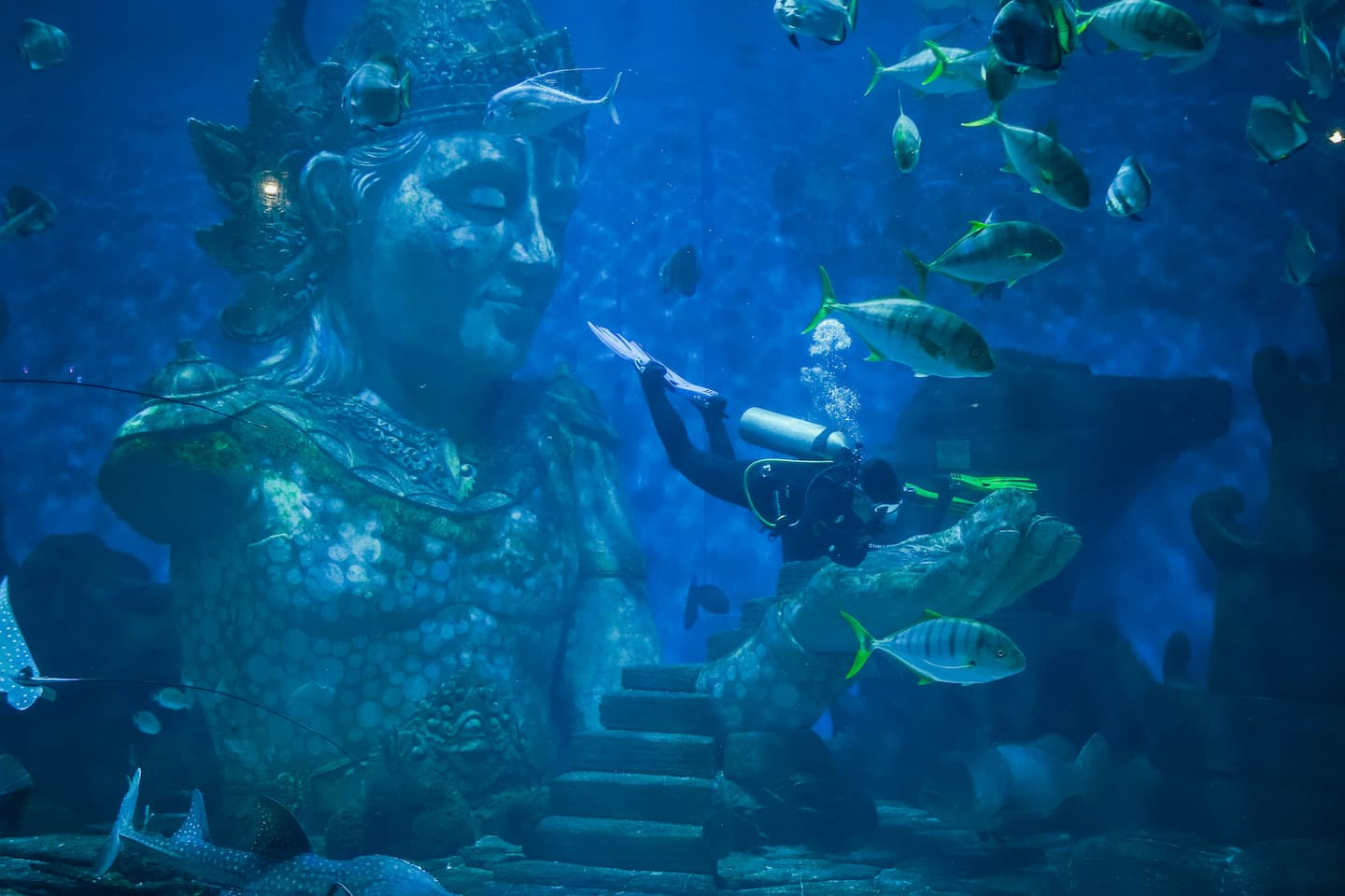 Underwater Experience