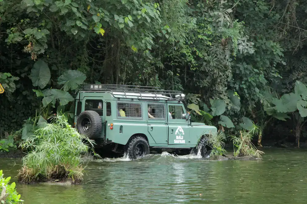 x Jeep Safari