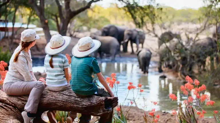 Family Safari Vacations - Taman Safari Indonesia