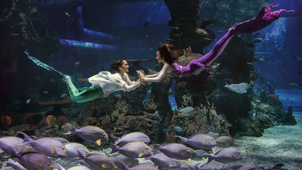Jakarta Aquarium & Safari Mermaid Show