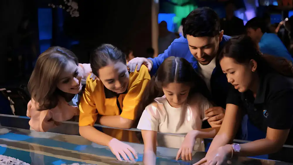 Regular vs Premium Jakarta Aquarium & Safari Tickets Guide