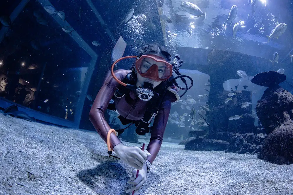 Tempat Fun Diving Unik dan Aesthetic di Jakarta